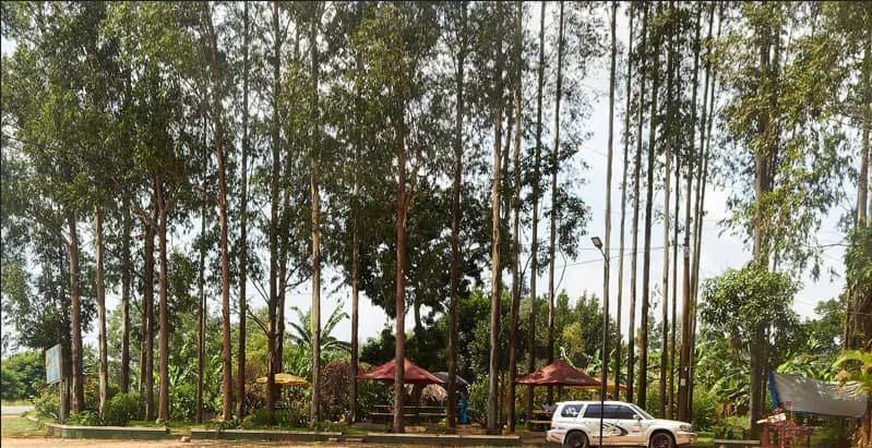 Beautiful Gardens at Kiston - Safe and secure food stop in Magamaga